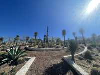 El Olivo🌵 Eco Olivo