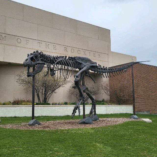 보즈먼 museum of the rockies 
