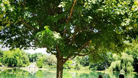 Ohio 's Winery Resort — traveler post in Canton