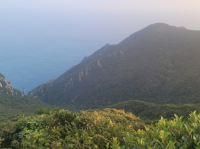 전라남도 신안군 흑산면 홍도에 있는 고치산 봉우리.