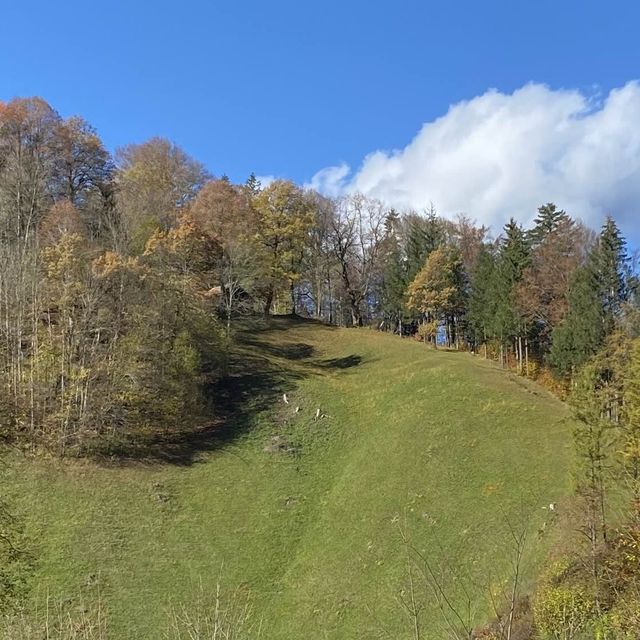 Autumn season, Nature’s Art Palette 