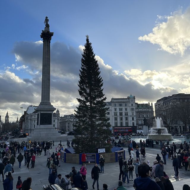 倫敦特拉法加廣場聖誕樹