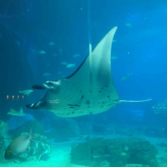 Chimelong Ocean Kingdom, Henqin, Zhuhai