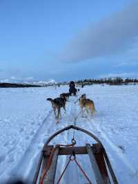 挪威🇳🇴特羅姆瑟雪橇之旅 人生必體驗