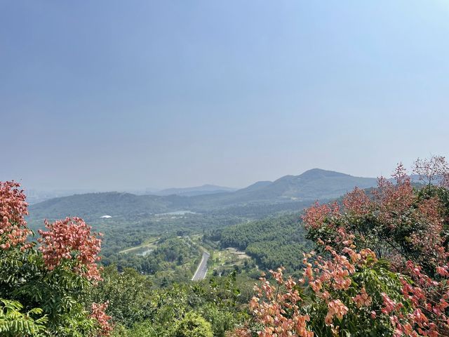 Nanjing - Niushou mountain 