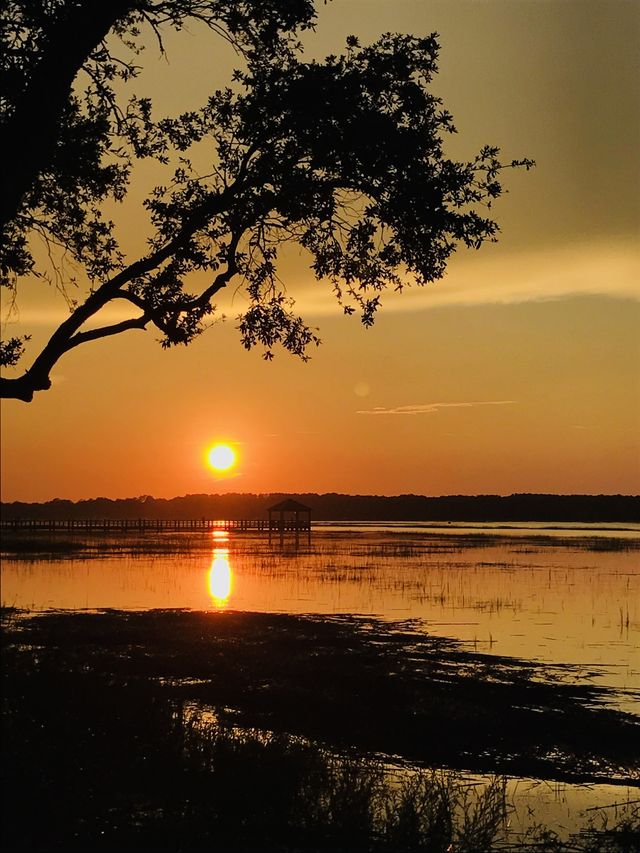 South Carolina sunsets🌇🌅🇺🇸 