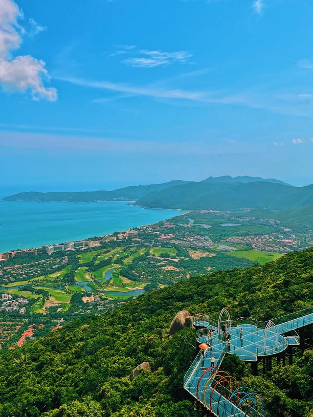 Glass Bridges with Epic Views 🌴🌊⛵️