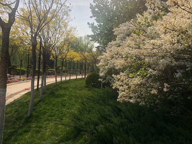 Nancuiping Park in Tianjin 