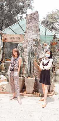 บุรีรัมย์ไปไหนดี    