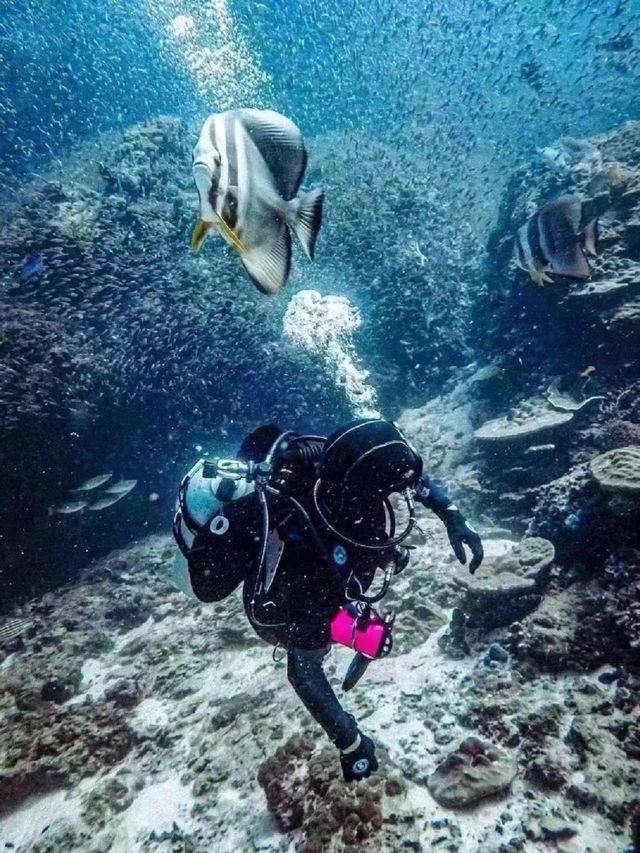 Experience the ultimate beauty of Phuket while enjoying a sea trip. ||| 🔥Sea trip in Phuket is here🔥