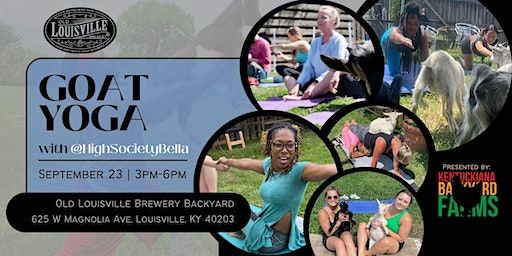 Bleats, Bends, and Brews: Yoga with Goats @OLB (Louisville) | Old Louisville Brewery
