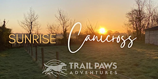 Sunrise Canicross | Therfield Heath, Baldock Road, Royston, UK