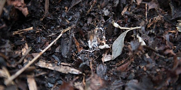 FREE Workshop:  Sheet Mulching | Location TBD