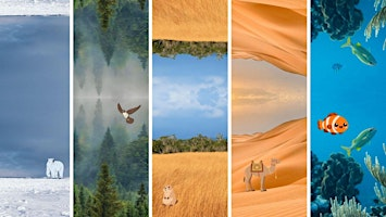 2026 Summer Camp: July 13 to 17 - From Tundra to Tropics | Thunder Bay Museum