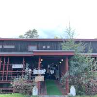 北海道　ニセコ　お蕎麦屋さん