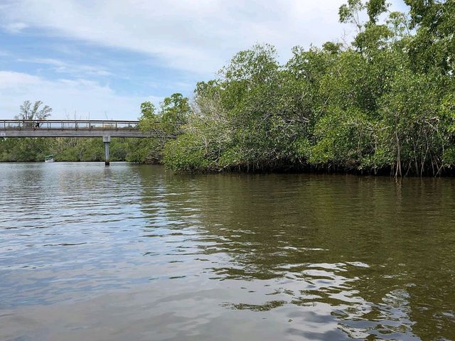 Conservancy of Southwest Florida