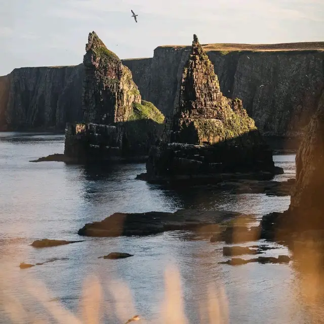 A long way from home