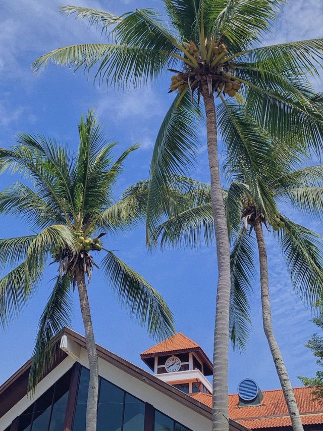 코타키나발루 수트라하버 리조트 ⛱