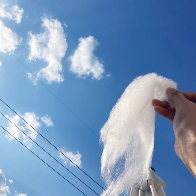 벚꽃 명소는 진해❤️
