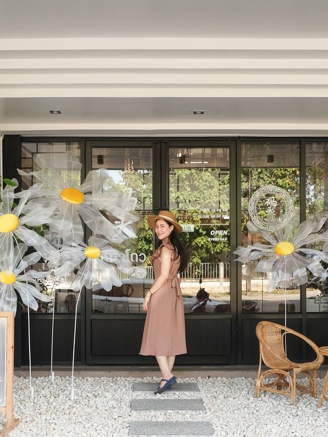 Matou Hostel & Cafe