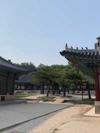 서울 궁궐 나들이 :: 창경궁 대온실🤍