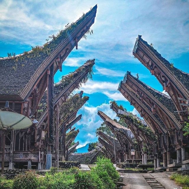 TANA TORAJA
