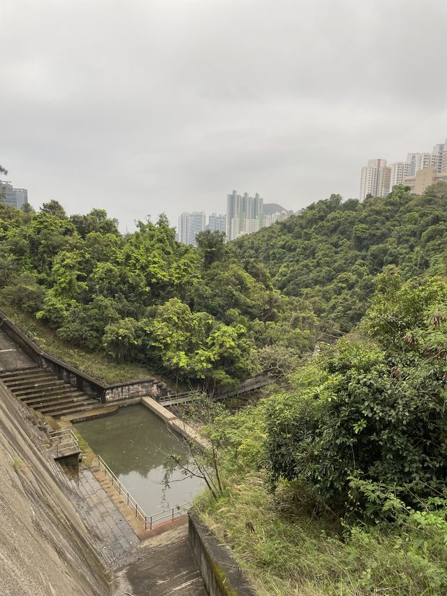 香港仔水塘👉🏿親民新手路線 香港仔水塘👉🏿親民新手路線