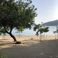 春季天氣最適合去港島水清沙幼沙灘🏖️