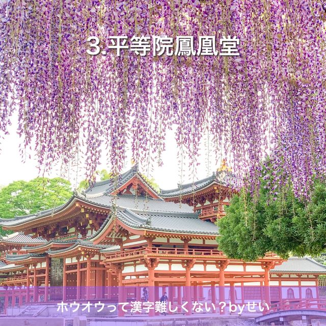 旅とこが行った京都のおすすめスポット‼️
