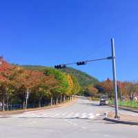 5월 봄나들이 가기 좋은 곳 경주 보문관광단지 