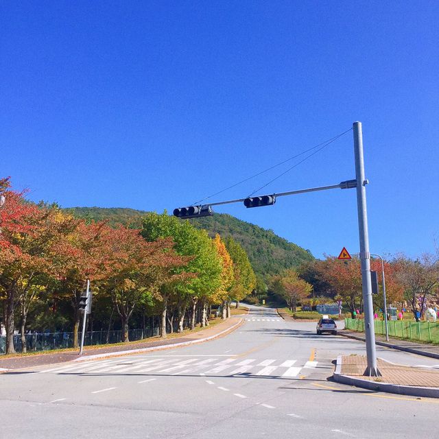 5월 봄나들이 가기 좋은 곳 경주 보문관광단지 