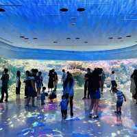 X Park 水族管 