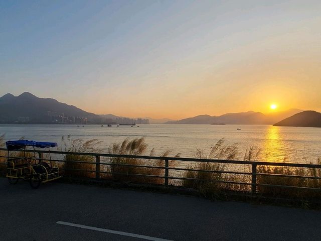 三項鐵人大尾篤🚴‍♀️🚣‍♀️