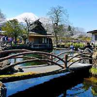 忍野八海
