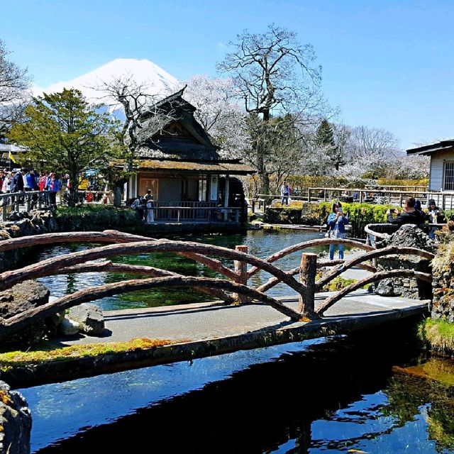 忍野八海