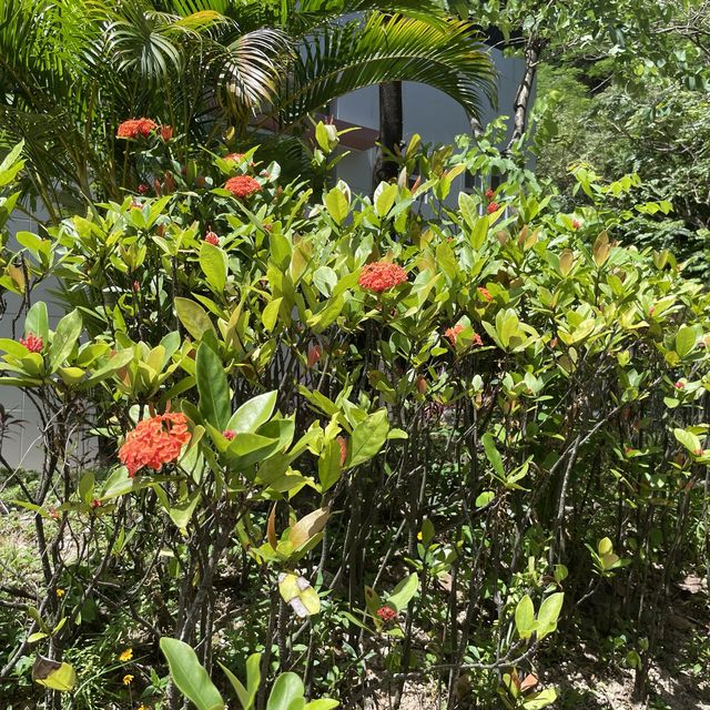 以粵劇為主題的「高山劇場公園」