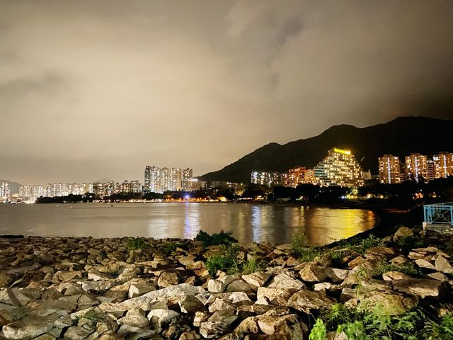 夜遊海豚廣場