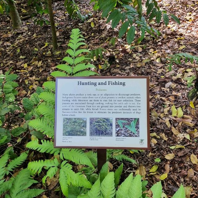 Ethnobotany Gardens Singapore 