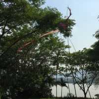 Take a visit Pha Tad Ke Botanical Garden 