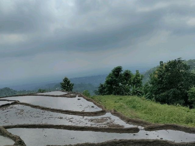 Shiva jatta, Dharan