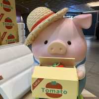 夏日·動物 · Lu Lu 豬🐷🫶🏻