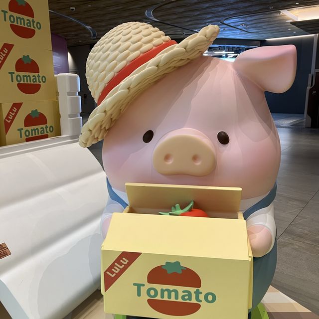 夏日·動物 · Lu Lu 豬🐷🫶🏻