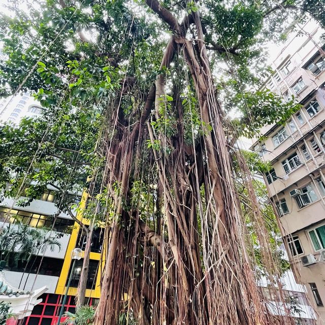 灣仔北帝廟