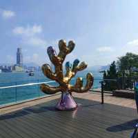 秋高氣爽慢遊中環碼頭海濱長廊
