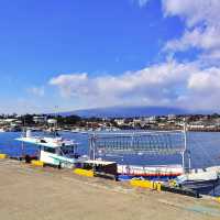 ⛴️ 한라산을 바라볼 수 있는 항구, 위미항
