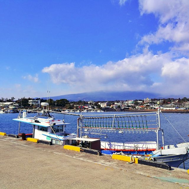⛴️ 한라산을 바라볼 수 있는 항구, 위미항