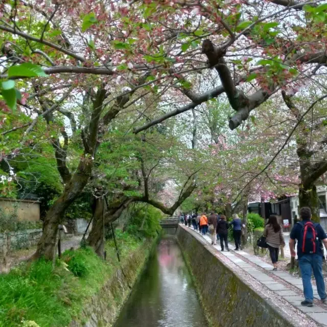 京都哲學之道