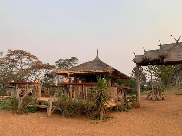 ดอยสะโง้ @เชียงราย 💚⛰️