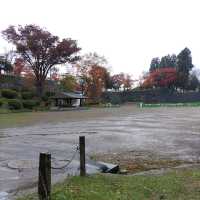 岩手県！盛岡城跡公園で紅葉狩り