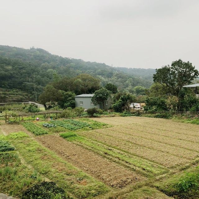 Hidden Chill City Douliu 